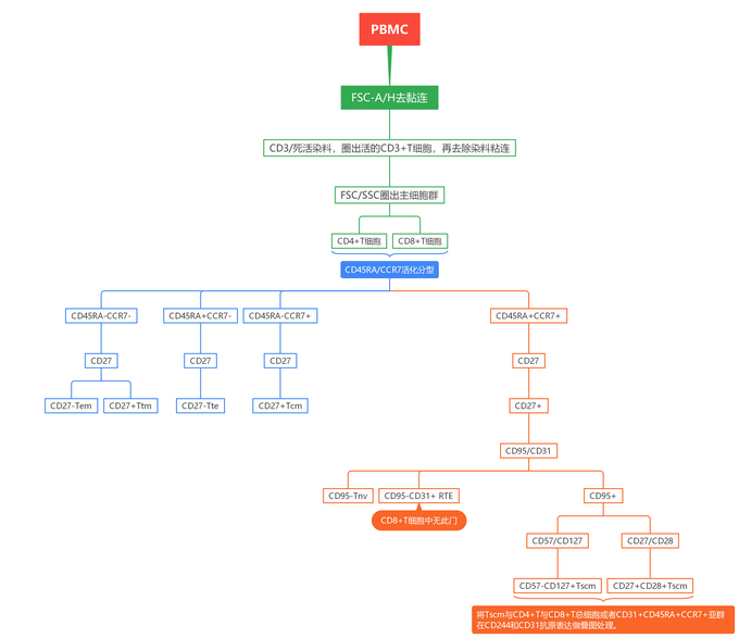 OMIP-013：13色Panel解析人T细胞分化状态