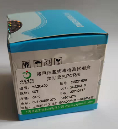 古柏线虫探针法荧光定量PCR试剂盒