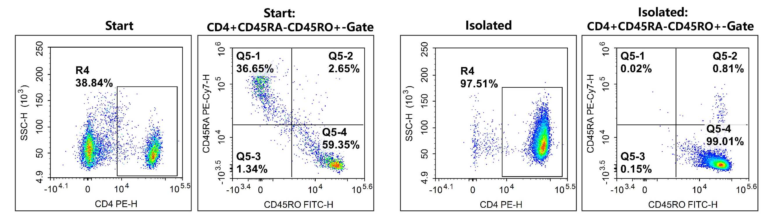 Elabscience 高活性记忆 CD4⁺T 细胞分选阴性分选试剂盒，赋能免疫机制与疾病研究