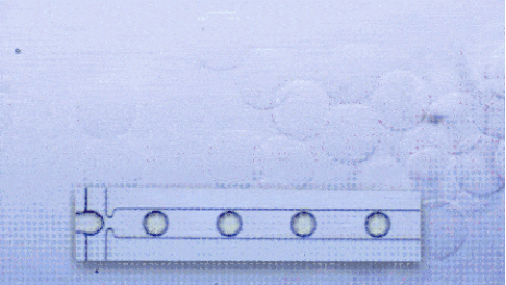 【点成干货】微流体应用说明之藻酸盐微球生产简介