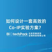如何设计一套高效的Co‑IP实验方案？