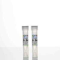 HycopGel平板涂覆水凝胶试剂盒