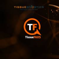TissueFAXS 8.0版本