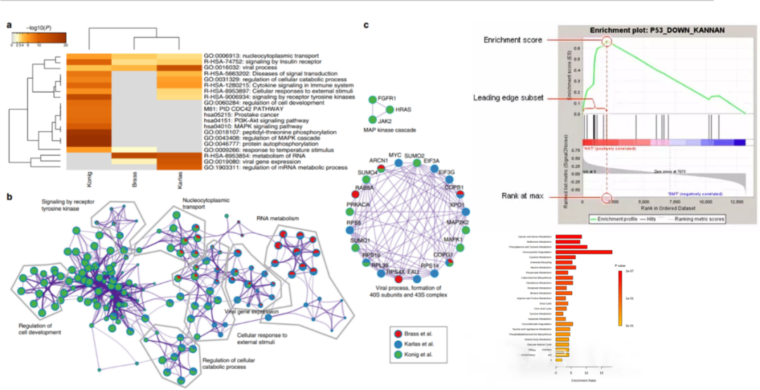 科研算力告急？锁定玖科医学！生信辅导全面升级！超高性价比享双重保障