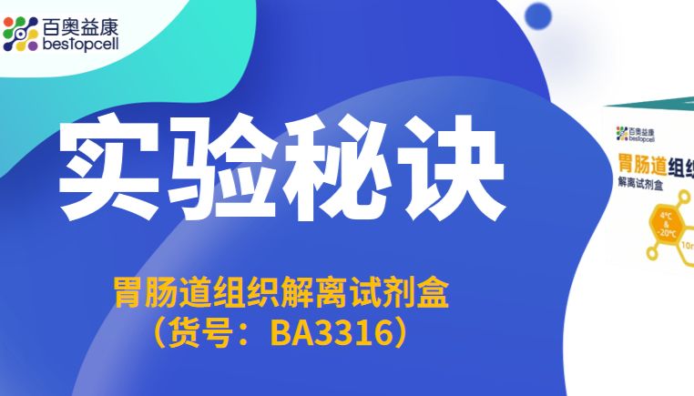 实验秘诀 | 胃肠组织单细胞悬液制备利器——百奥益康胃肠组织解离试剂盒