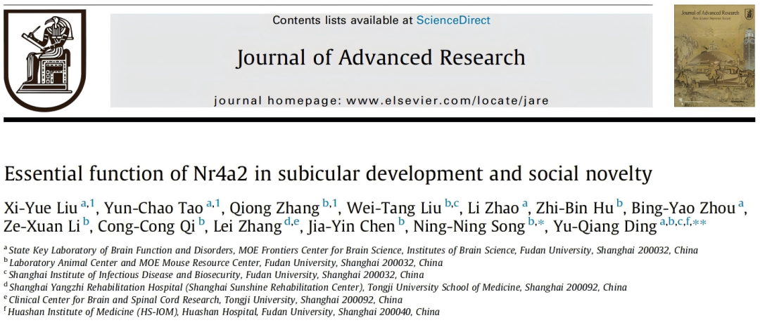 IF=13【客户文章】复旦大学丁玉强教授/宋宁宁副研究员揭示转录因子Nr4a2在海马下托神经元发育和小鼠社交行为中的关键作用