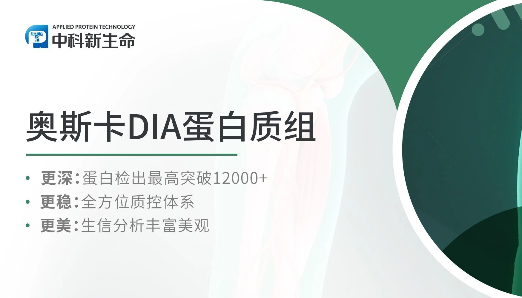 J Cachexia Sarcopenia Muscle项目文章 | 变废为宝！扬州大学包文斌教授团队解析凋亡细胞促骨骼肌发育新机制