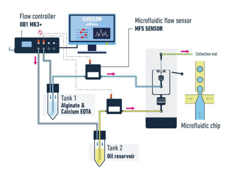 【点成干货】微流体应用说明之藻酸盐微球生产简介