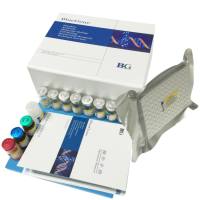 Mouse Alpha Melanocyte Stimulating Hormone （Alpha  MSH）ELISA kit