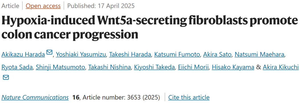 公开数据发14+ NC！单细胞+空转+缺氧成纤维细胞，学习单基因研究逻辑该如何深入