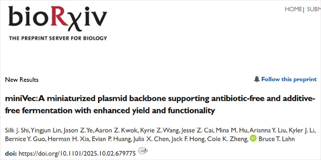 论文详解 | MiniVec™如何突破传统质粒的抗生素依赖与功能瓶颈？