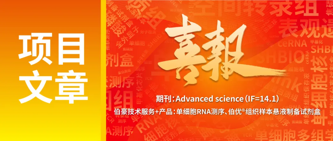 单细胞项目文章 | 治疗性黑磷纳米片通过诱导中性粒细胞应答增强肿瘤抑制效果