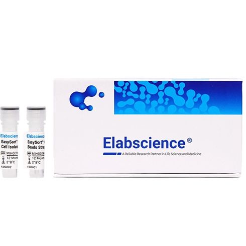 EasySort™ Mouse B Cell Isolation Kit