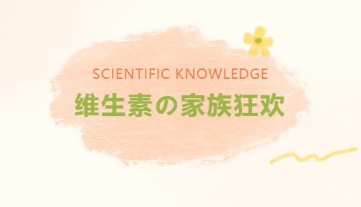 维生素家族狂欢，健康活力启航