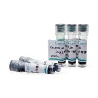 DNA上样缓冲液(6X)