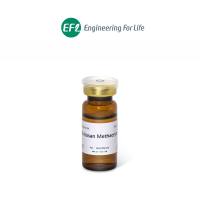 甲基丙烯酰化壳聚糖（ CSMA）