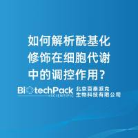 如何解析酰基化修饰在细胞代谢中的调控作用？