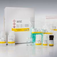 SureFood® PREP Basic (核酸提取试剂盒)