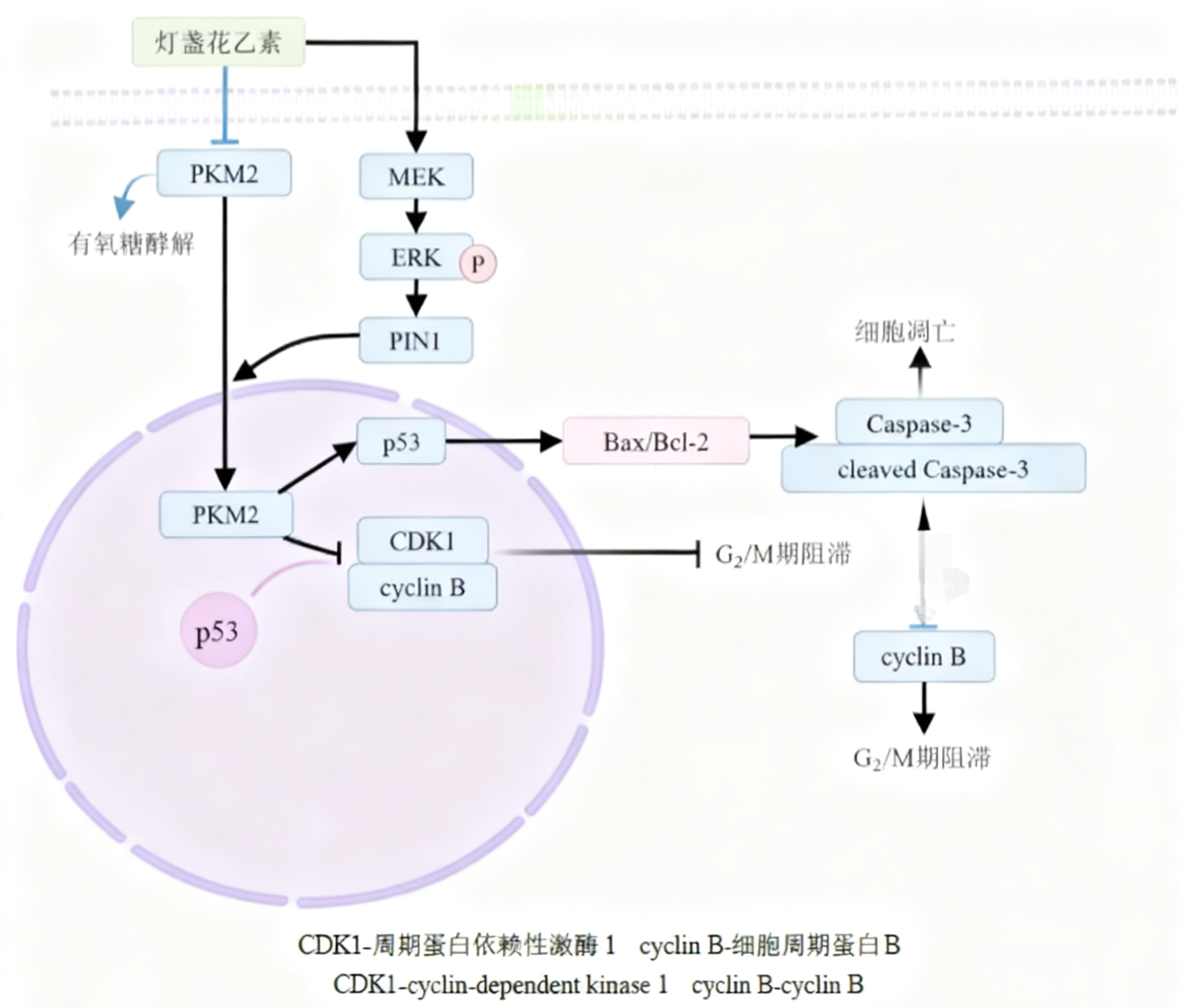 技术资料图片2