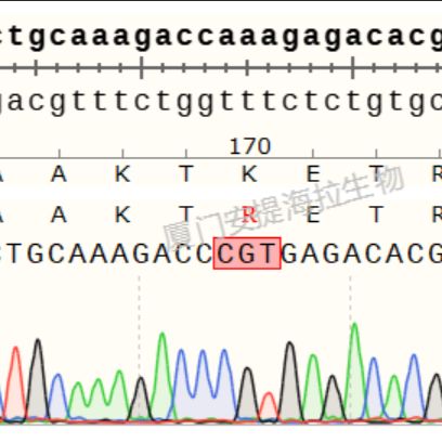 PCR扩增-一代测序