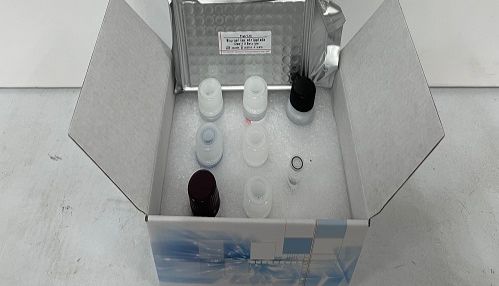 本生阐述：国产Elisa试剂盒选购注意事项