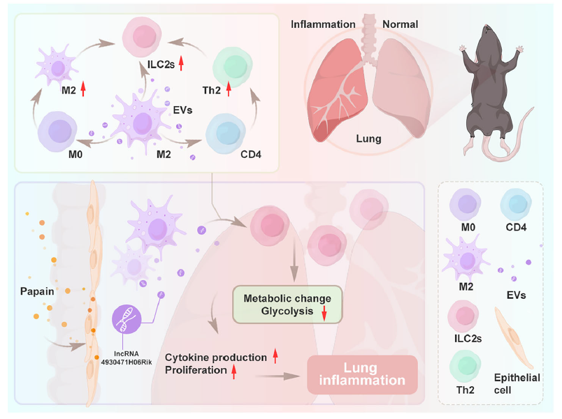 技术资料图片10