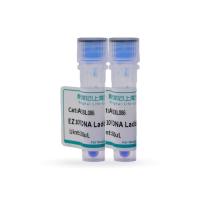 EZ100 DNA Marker (100-5000bp)