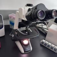 尼康 Eclipse E200 显微镜