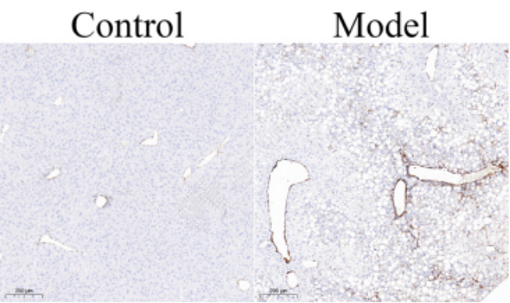 产品细节图片11