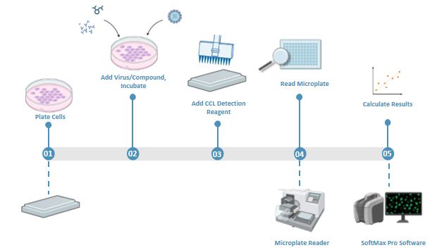 「DIFF CRO」技术案例深度解析：DIFF CRO药效 评价解决方案