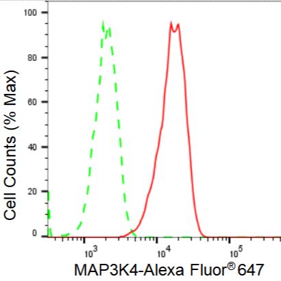MAP3K4 Recombinant Rabbit mAb