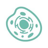 Transwell迁移/侵袭实验