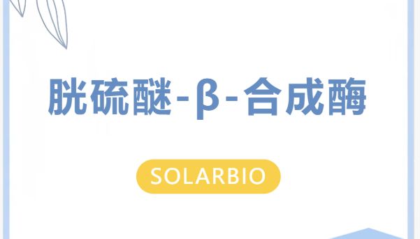胱硫醚-β-合成酶：沟通含硫氨基酸代谢、氧化防御与细胞信号调控的桥梁