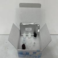 大鼠瓜氨酸化组蛋白H3试剂盒(CH3)ELISA检测试剂盒