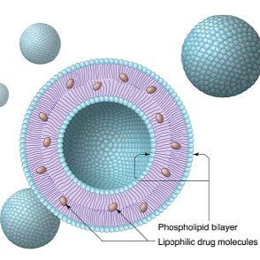 面向肺癌精准治疗的载体：ZS1多肽修饰共载紫杉醇与姜黄素的靶向脂质体