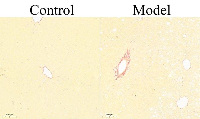产品细节图片10