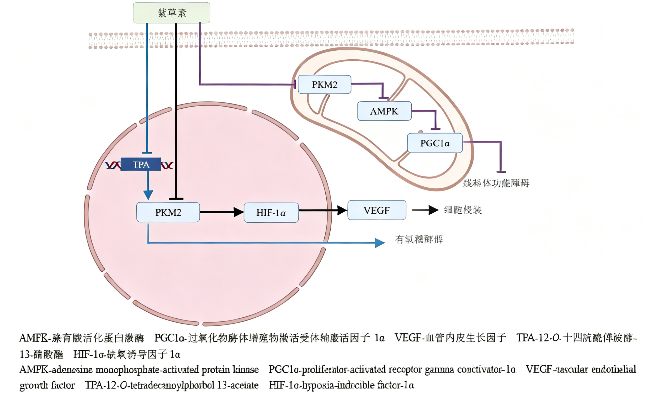 技术资料图片1