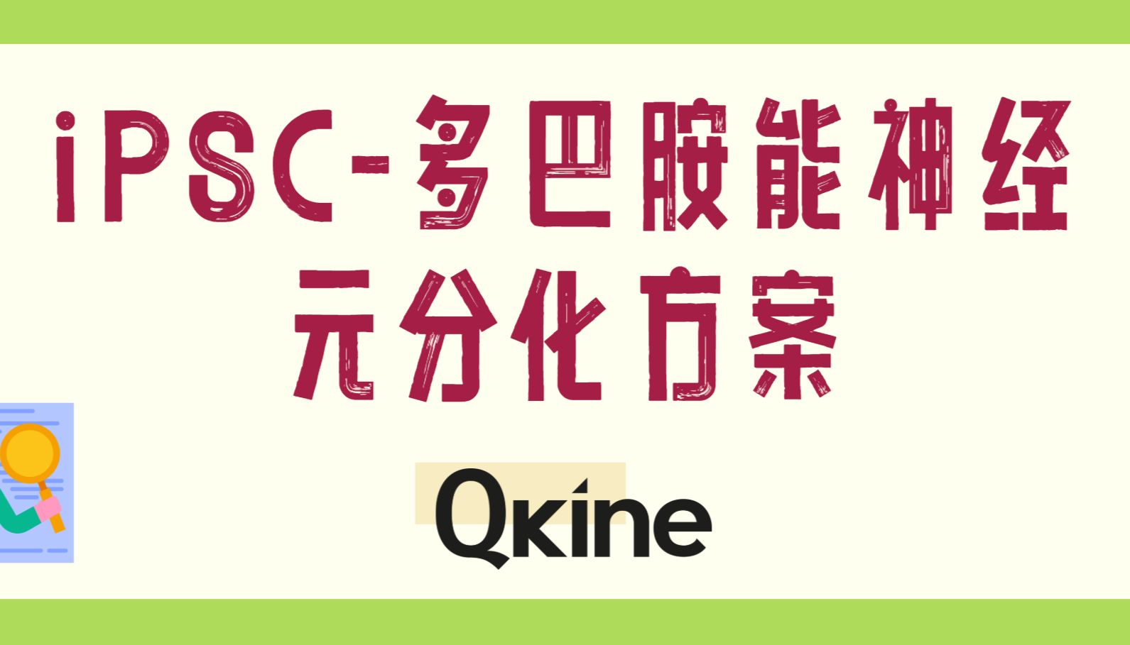 Qkine细胞因子：诱导多能干细胞iPSC向多巴胺能神经元的分化