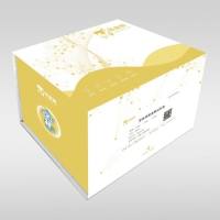 活体颅骨透明试剂盒