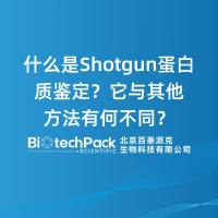 什么是Shotgun蛋白质鉴定？它与其他方法有何不同？