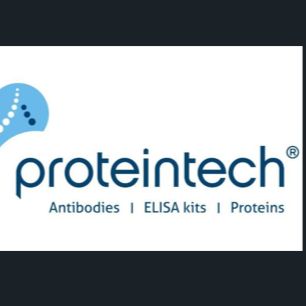 特惠促销Proteintech货号PF00004-500T现货CCK-8上海睿安生物19121878899
