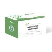 TH 离体组织荧光染色成像试剂盒(MACS)