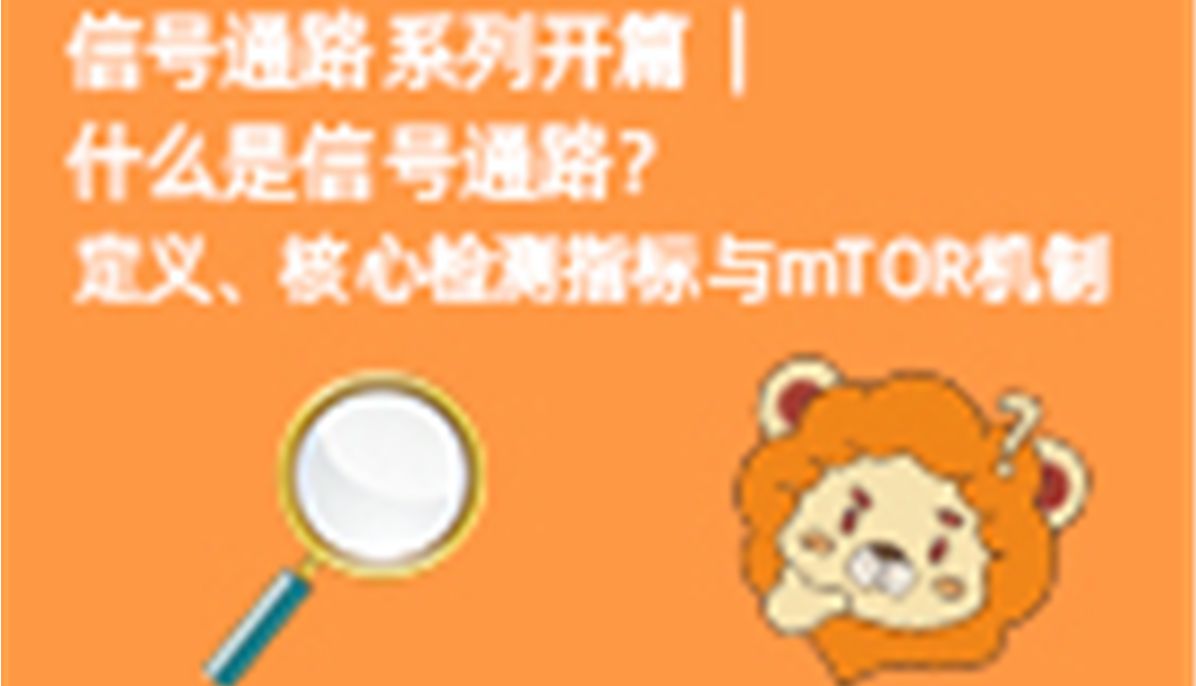 01｜信号通路系列开篇｜什么是信号通路？定义、核心检测指标与mTOR机制 | abinScience
