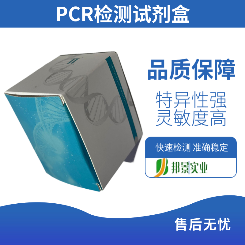 PCR产物纯化的详细步骤，新手也能轻松上手