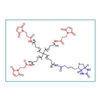 (Maleimide)3-4ARM-PEG-Biotin  四臂聚乙二醇三臂马来酰亚胺一臂生物素  异双官能团衍生物