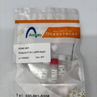 TRUEscript RT kit( With gDNA Eraser) 带基因组清除，荧光定量PCR用