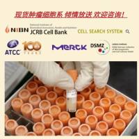 维百奥生物现货肿瘤细胞系，倾情放送。欢迎咨询！