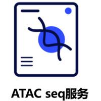 ATAC seq服务