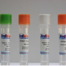 HRP- Mouse Anti-Goat IgG(H+L)