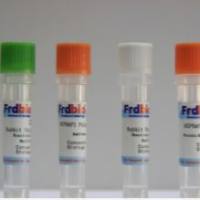 HRP- Mouse Anti-Goat IgG(H+L)